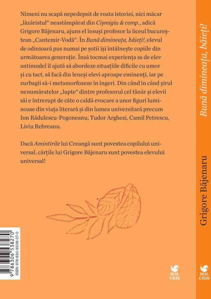 Buna dimineata baieti, Grigore Bajenaru, Rolcris