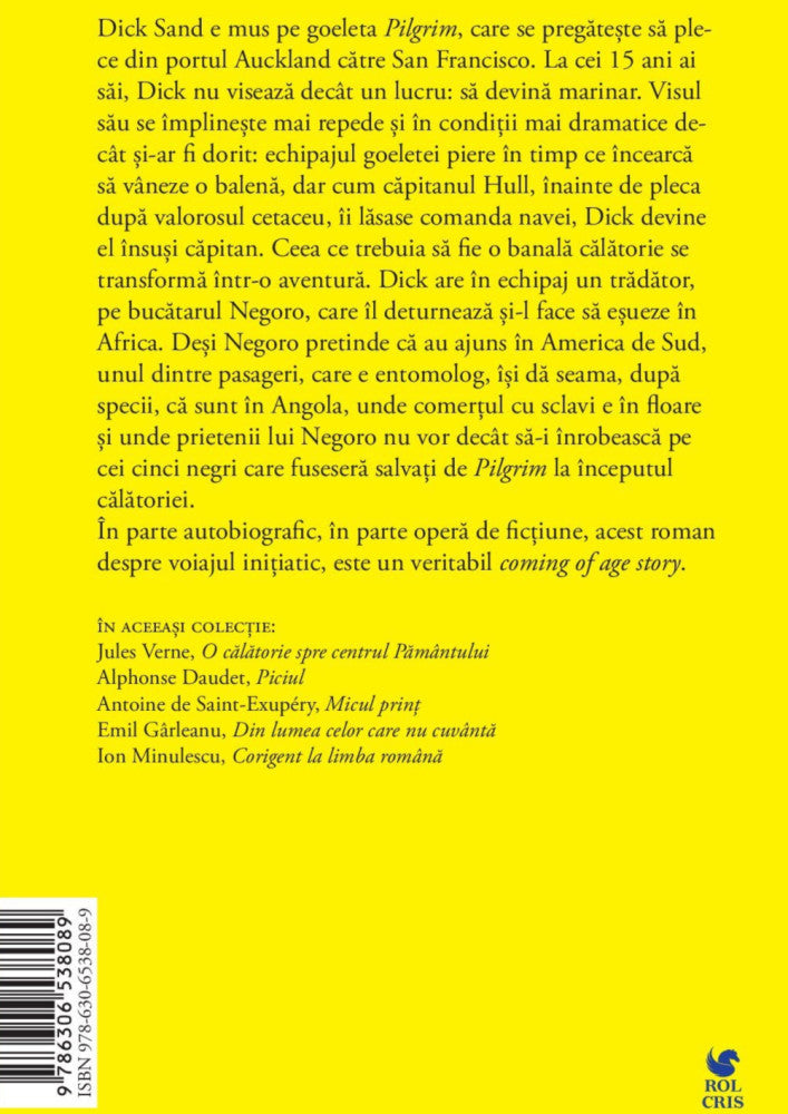 Capitan la cincisprezece ani, Jules Verne, Rolcris